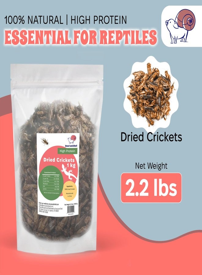 Snout and Shell Dried Crickets (2.2 lbs) for Reptiles, Birds, and Small Pets - Natural Insect Food with Essential Nutrients - 1 kg - Image 4